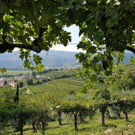 פומאנה Agriturismo Valentina Cubi מראה חיצוני תמונה