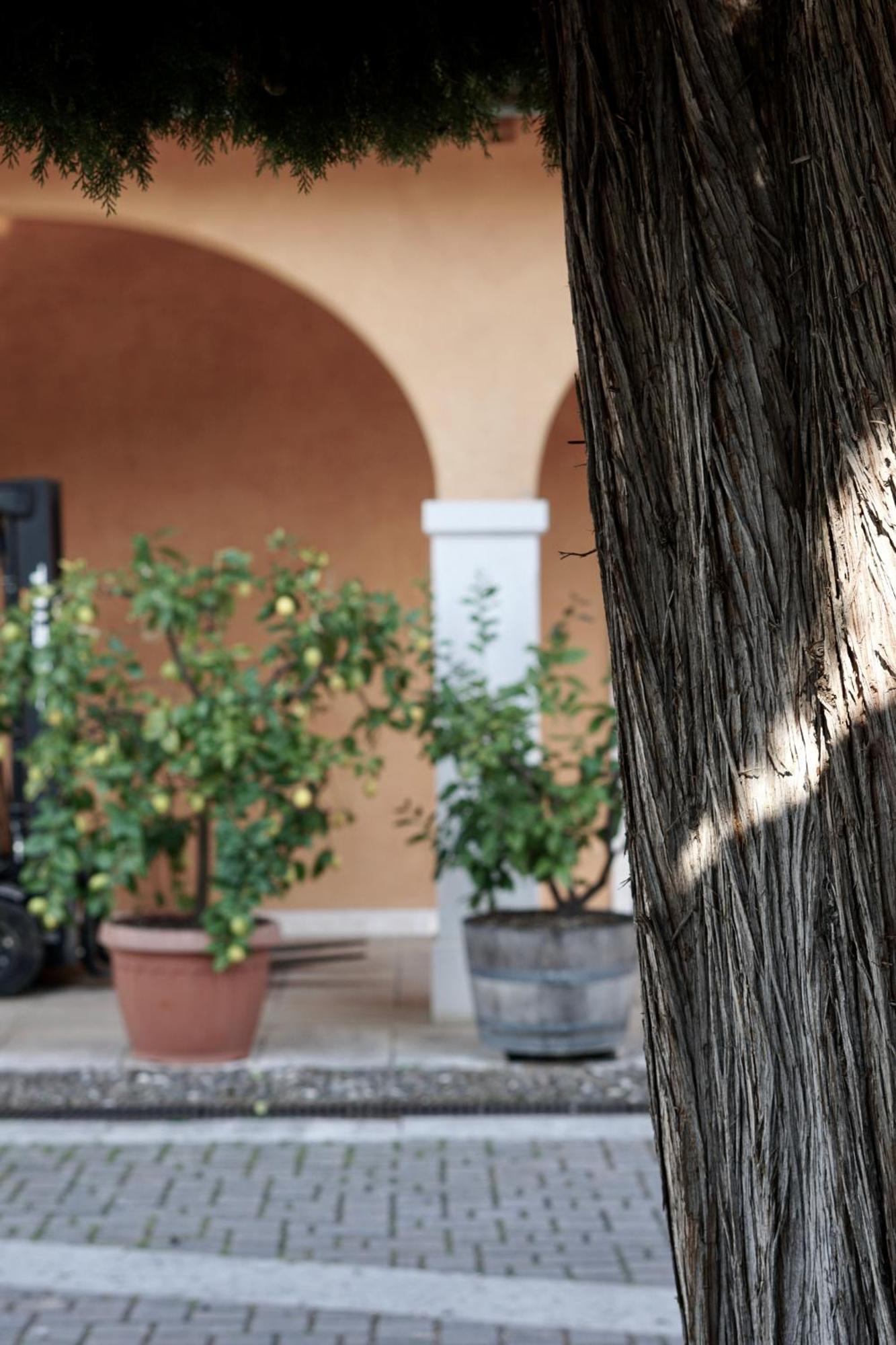 פומאנה Agriturismo Valentina Cubi מראה חיצוני תמונה