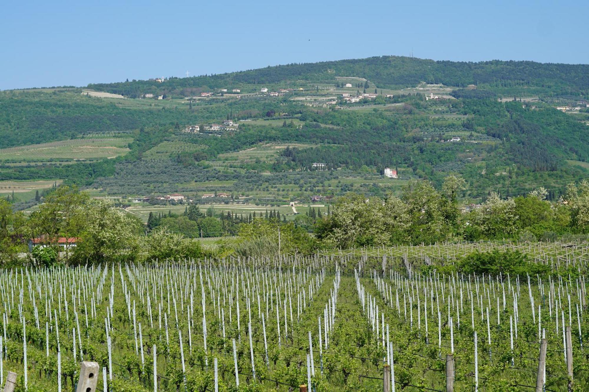 פומאנה Agriturismo Valentina Cubi מראה חיצוני תמונה